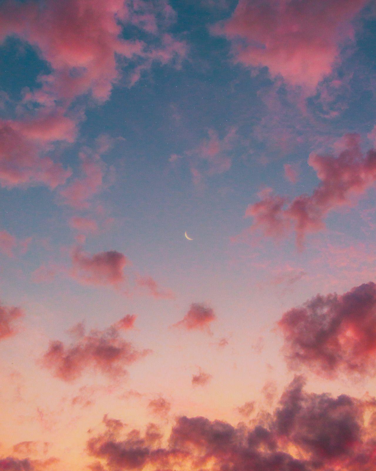 1280x1600 Aesthetic Cupidaestheticcupid.