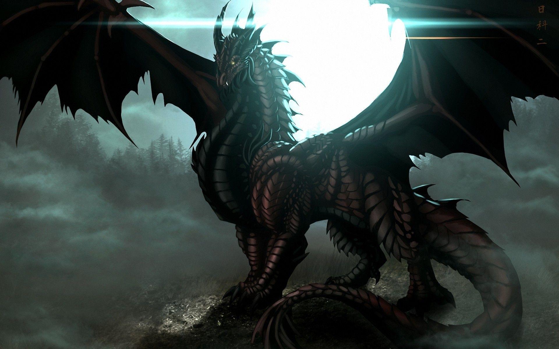 1920x1200 Dark Dragon Wallpaper background .