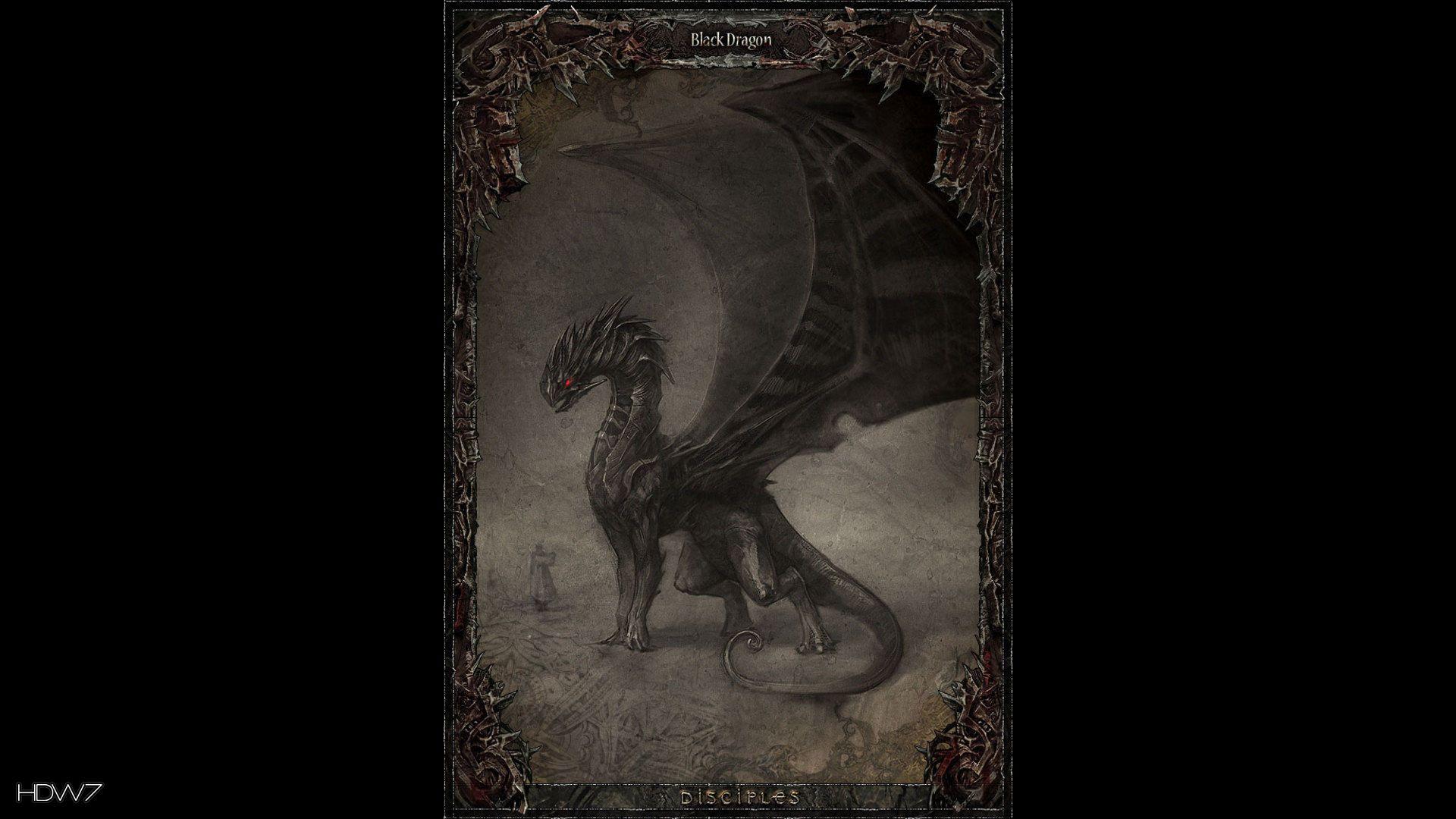 1920x1080 disciples 3 dark dragon widescreen HD .