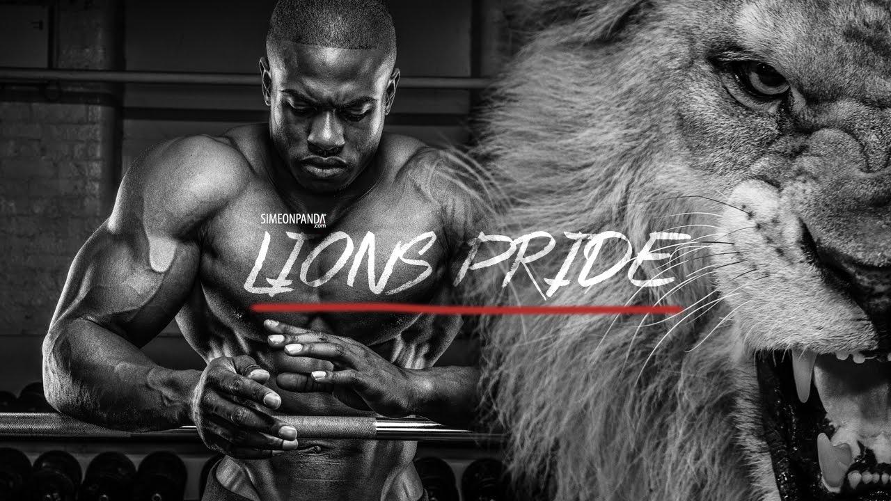 1280x720 Lion Roar HD .