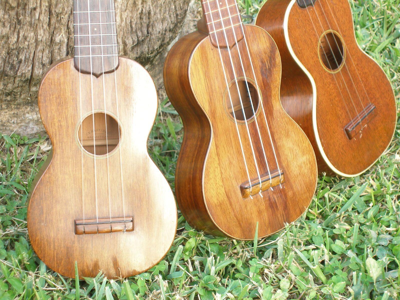 1600x1200 Ukulele Wood: Guide to the Tonewoods .