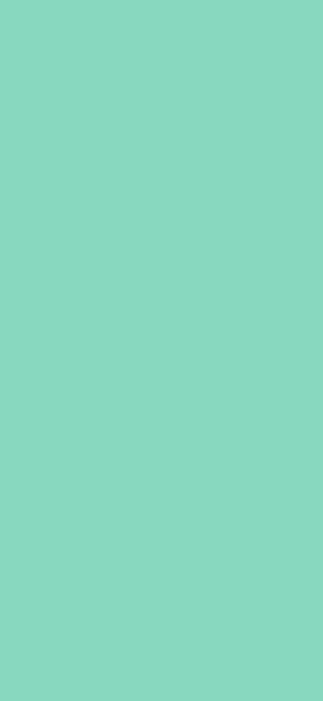 1125x2436 Pearl Aqua Solid Color