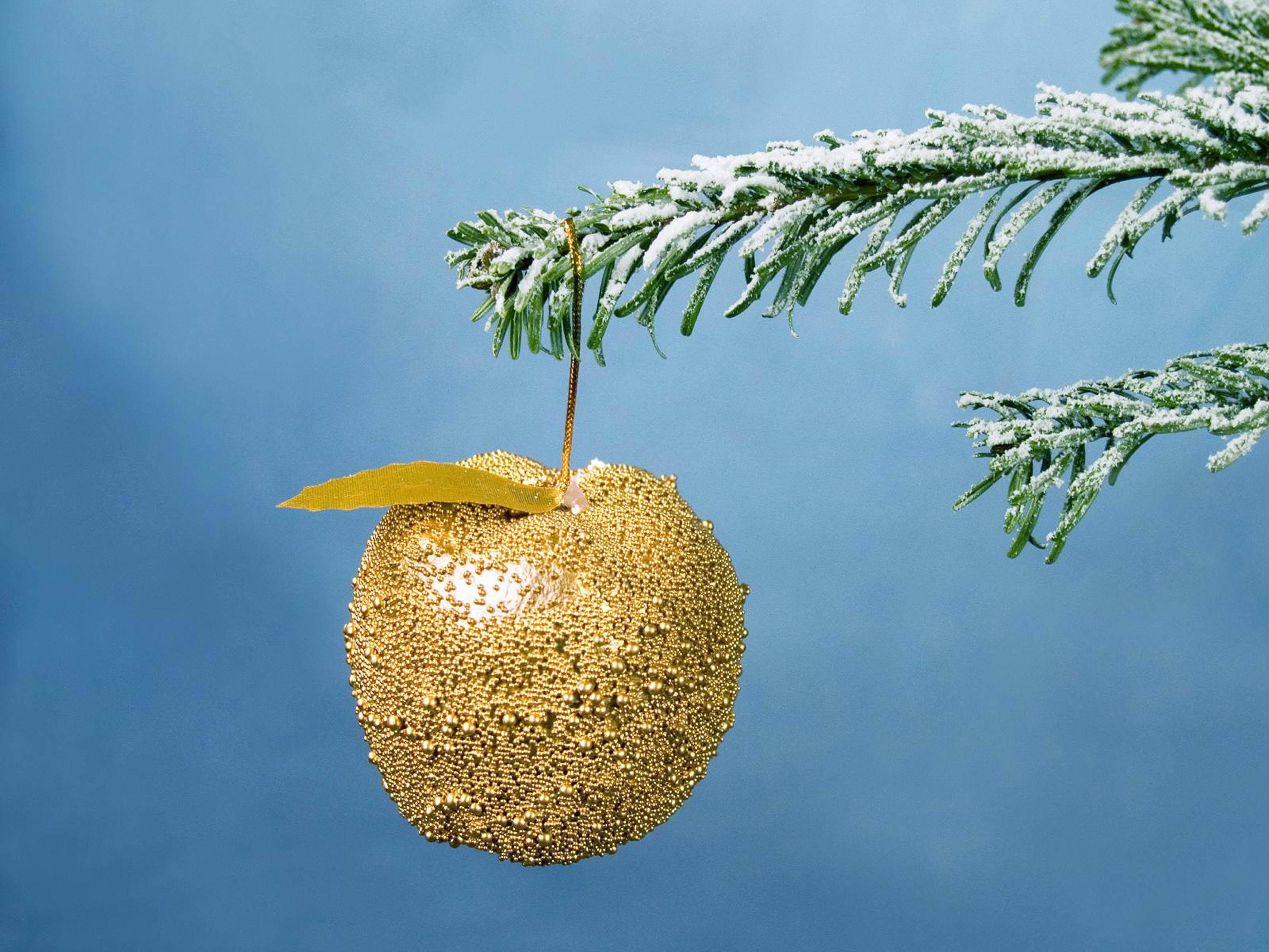 3543x2658 Golden Apple