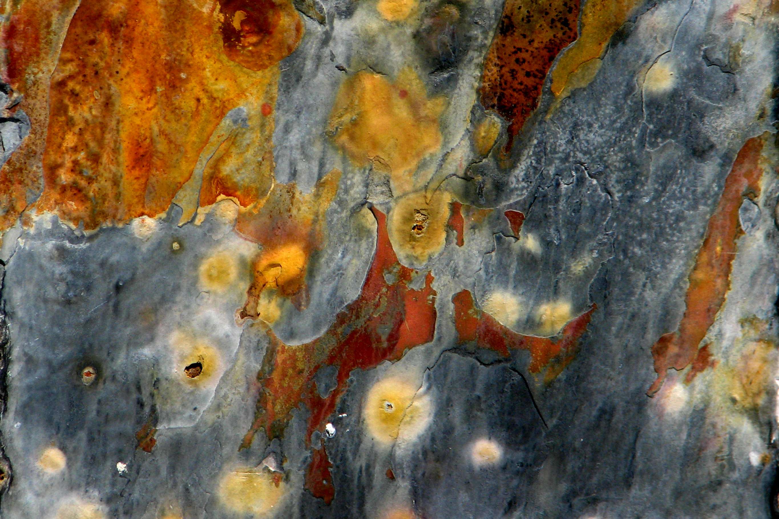 2730x1820 abstract, background, glow, gold, gray .