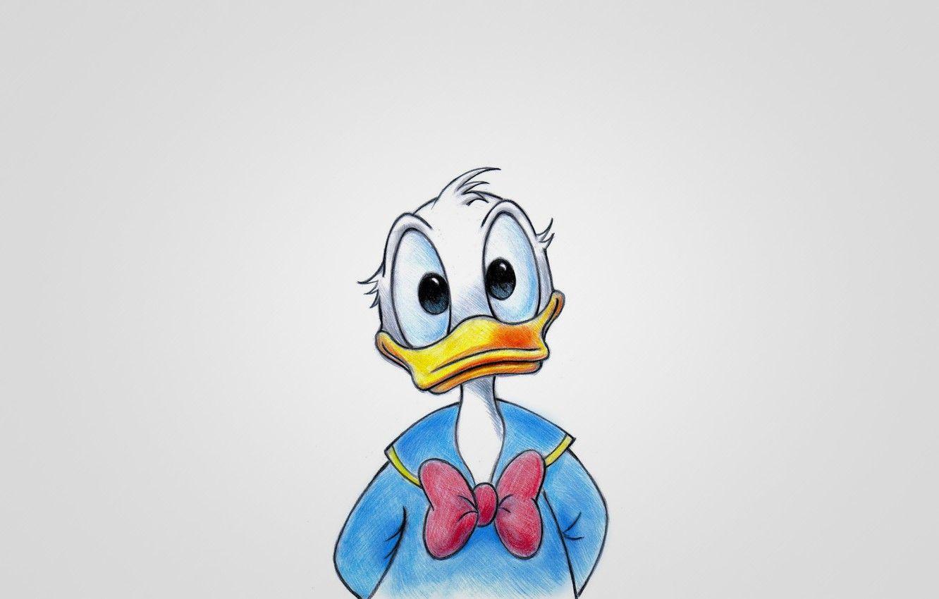 1332x850 Wallpaper blue, light background, duck .