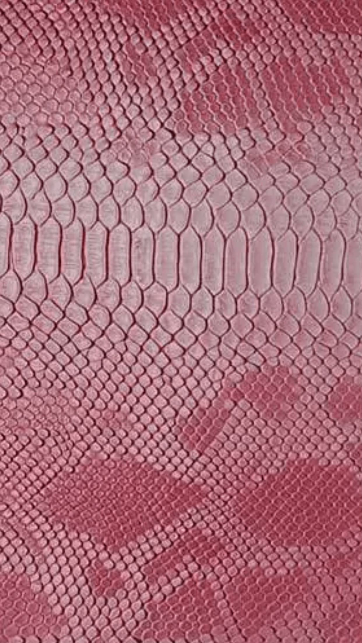 Pink Snakeskin Wallpapers - Top Free Pink Snakeskin Backgrounds