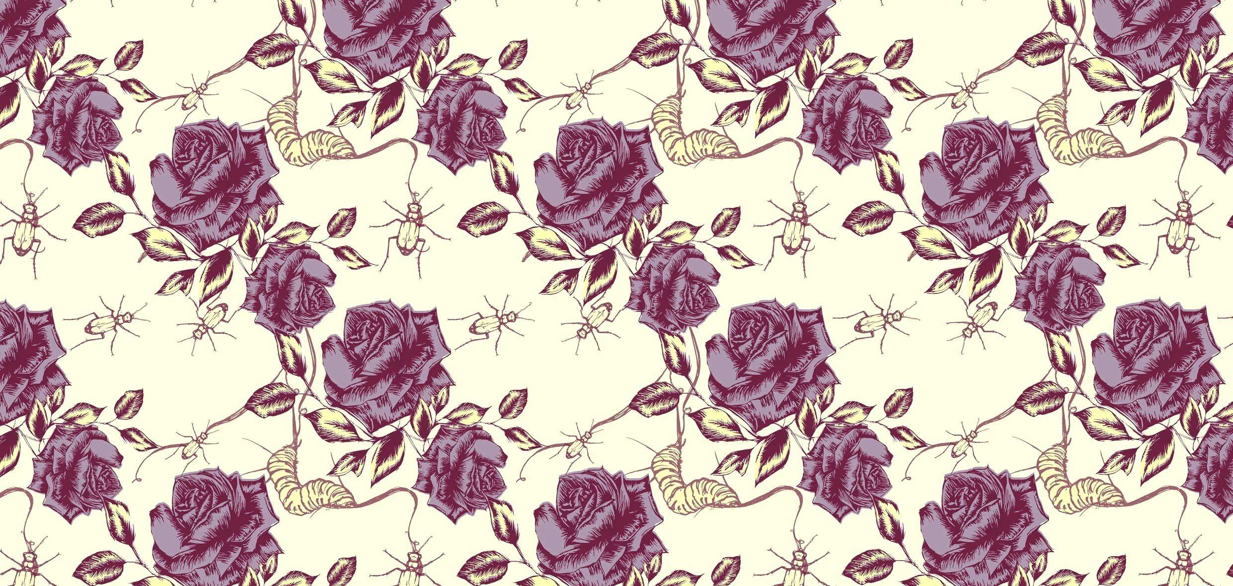 2480x1180 Bohemian Desktopwallpaper
