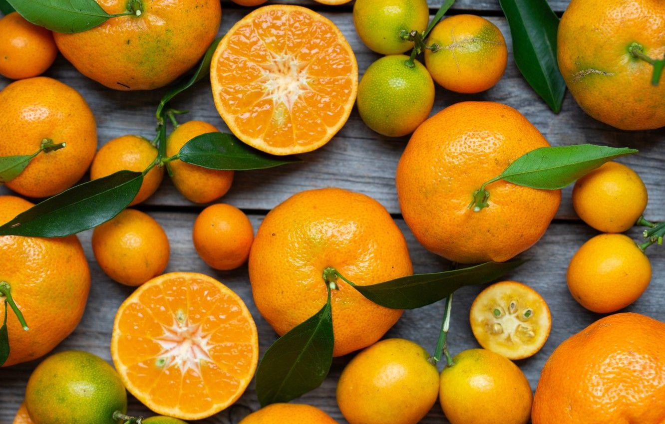 1332x850 Wallpaper leaves, citrus, citrus .