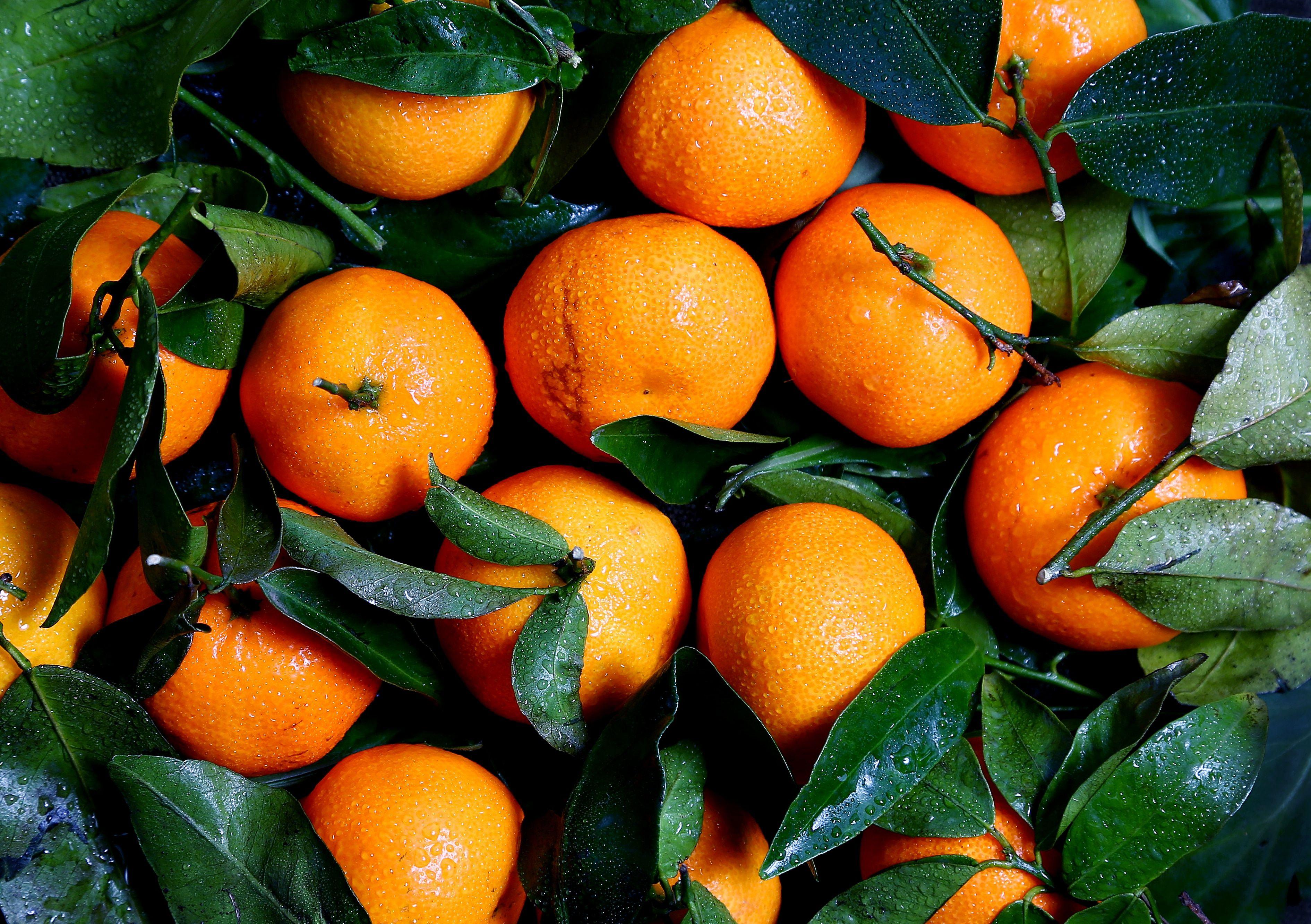 Tangerine Wallpapers - Top Free Tangerine Backgrounds - WallpaperAccess