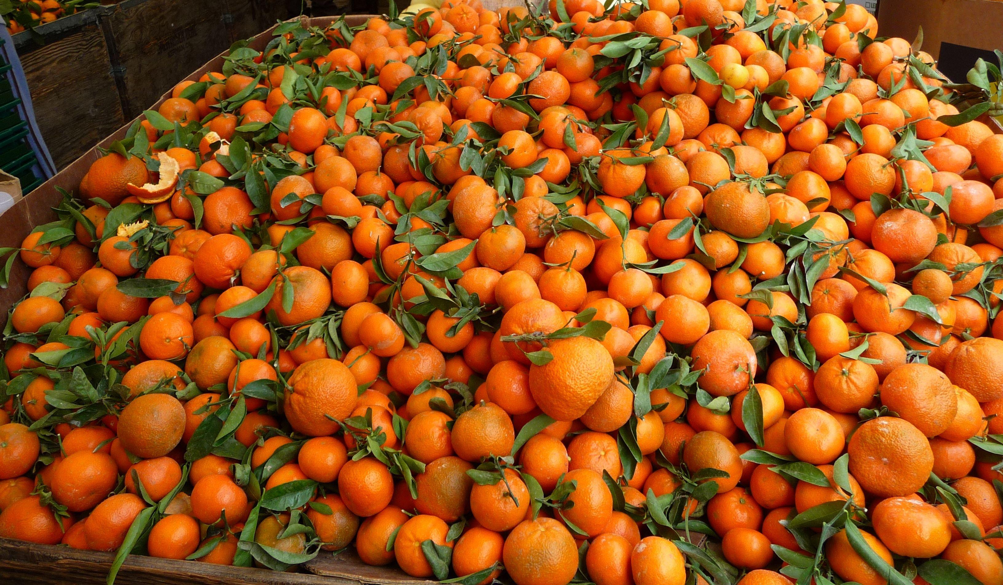 Tangerine Wallpapers Top Free Tangerine Backgrounds WallpaperAccess