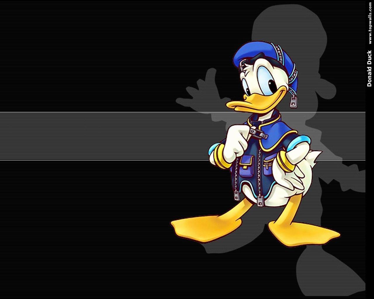Disney Donald Duck Wallpapers - Top Free Disney Donald Duck Backgrounds