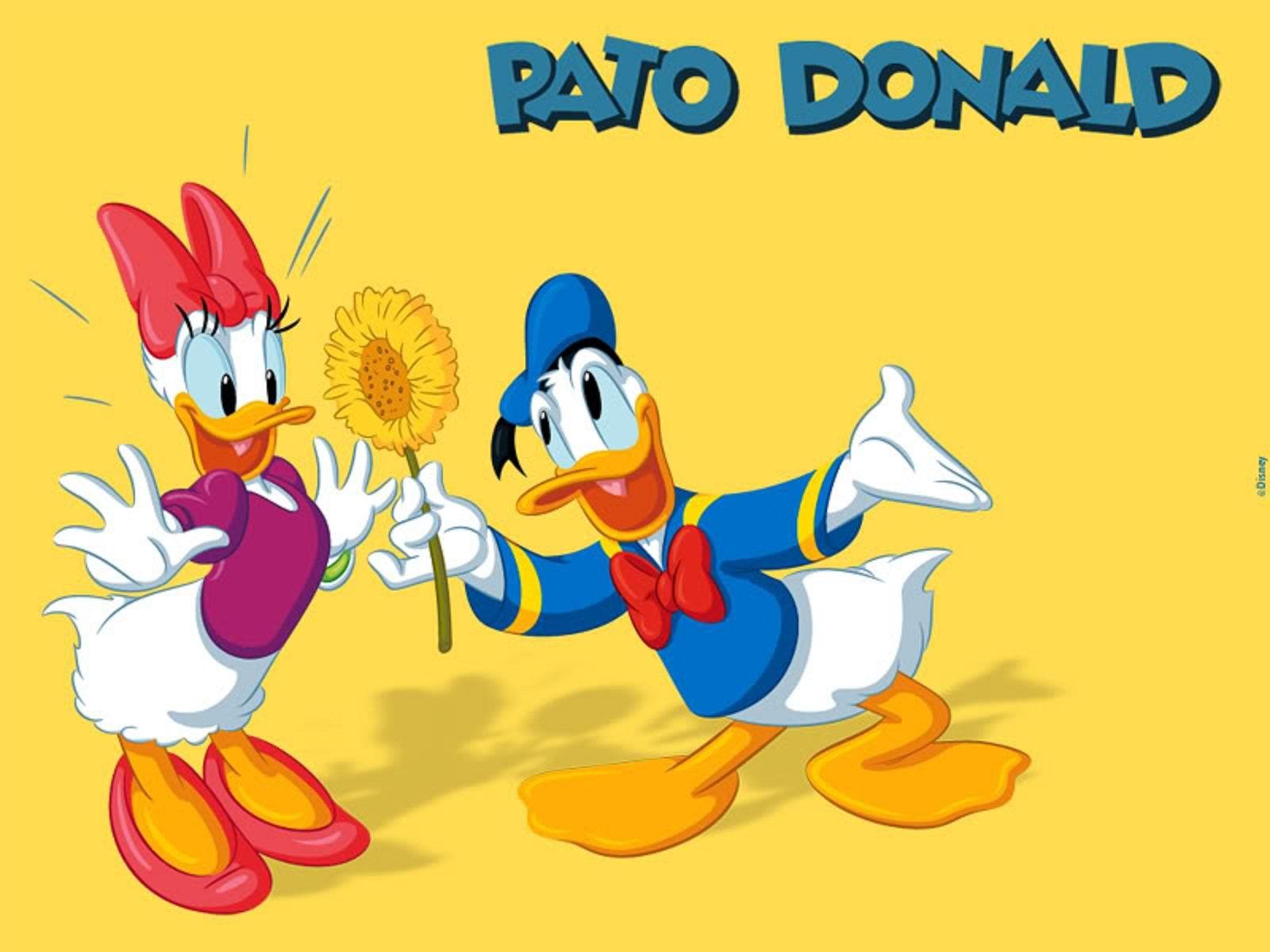 1600x1200 Donald Duck Wallpaper Resolution .