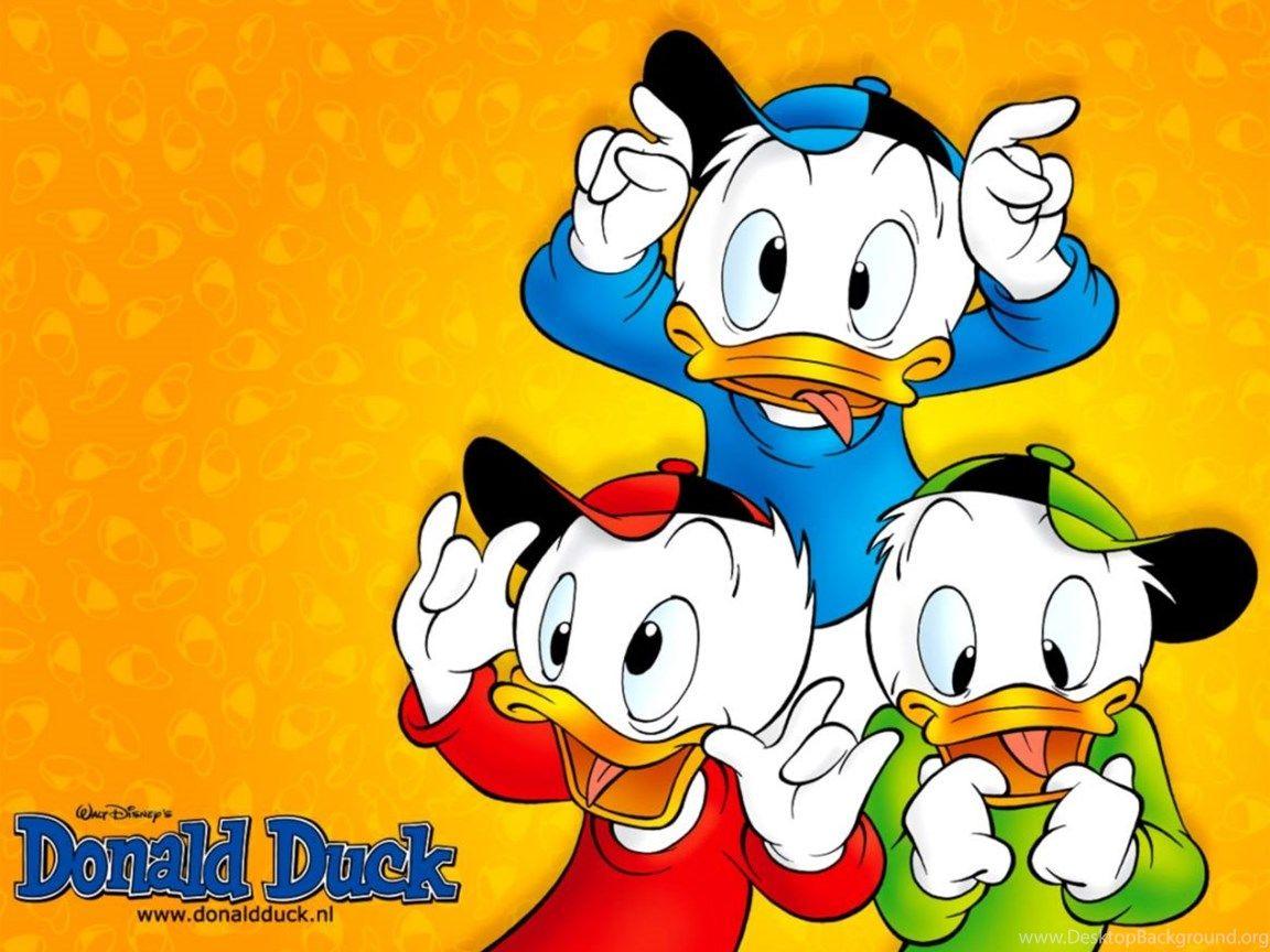 1152x864 Cartoon Donald Duck Wallpaper HD .