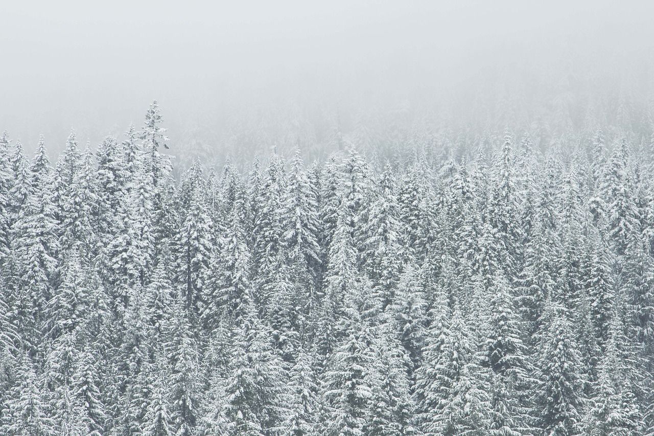 1280x853 Free Winterfall & Study Image