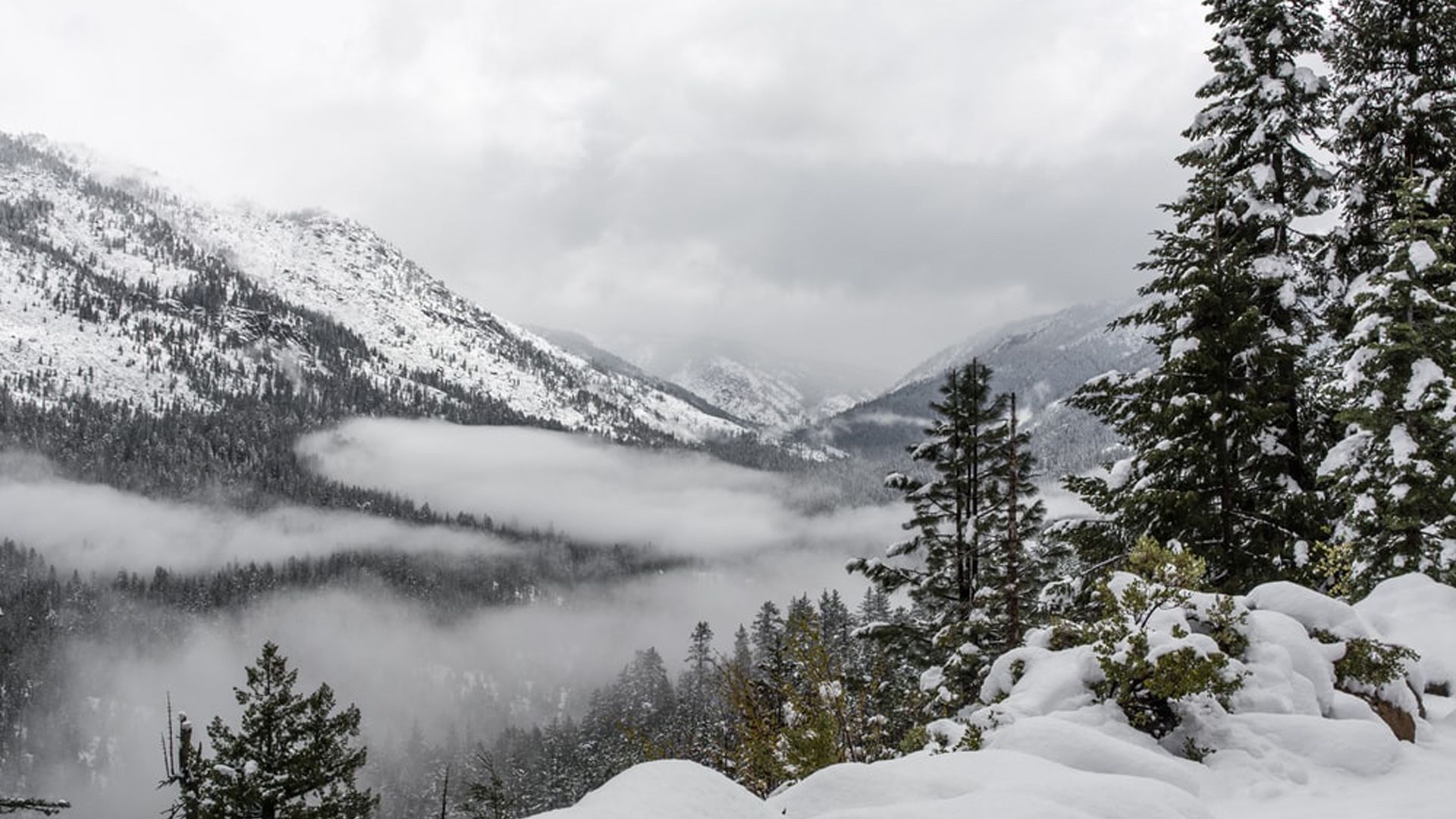 1920x1080 Beautiful Winter Fall Scenery Snow Covered Trees Mountains Slope Fog HD Winter Wallpaper