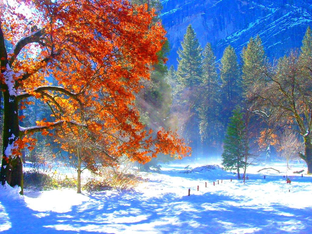 1024x768 Yosemite Fall Colors in Winter. Taken from the back of