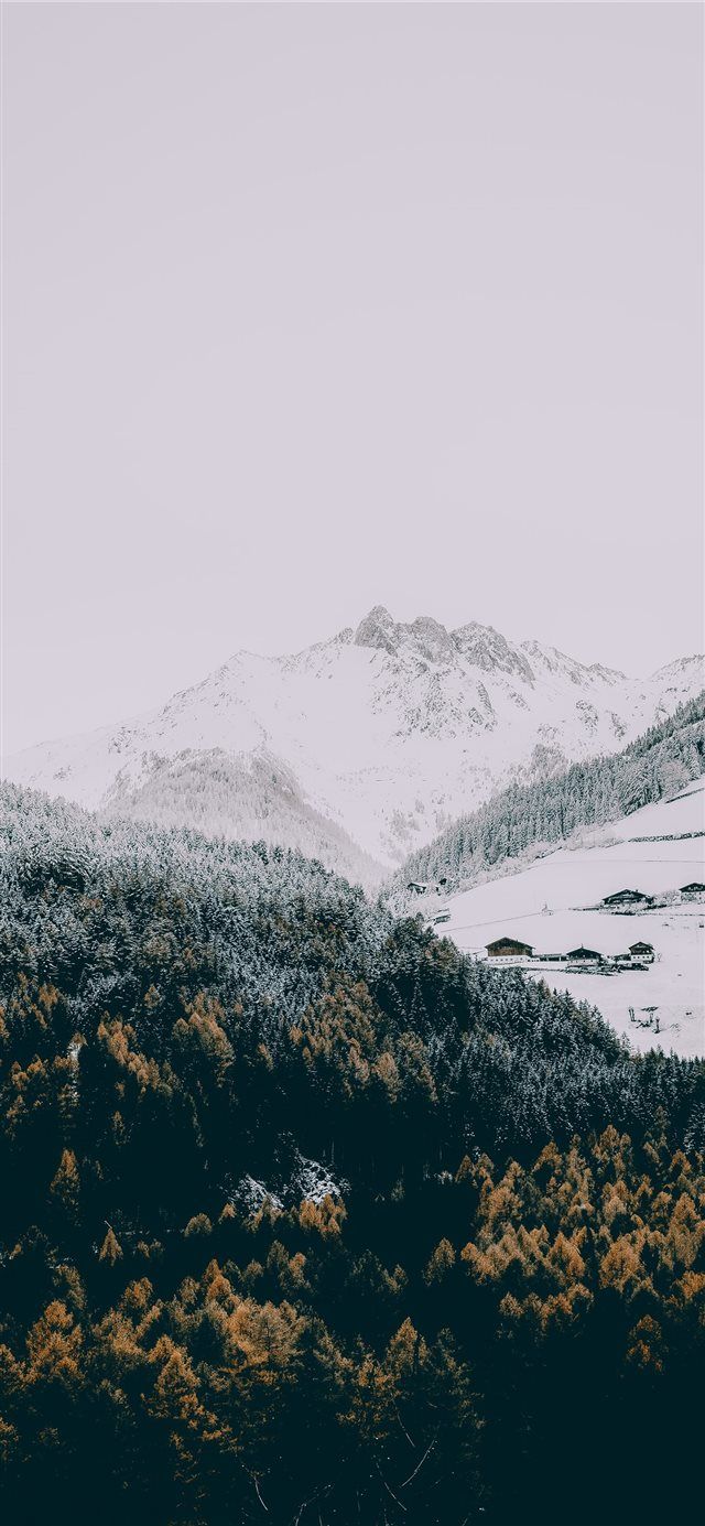 640x1385 Winter iPhone X Wallpaper Free Download