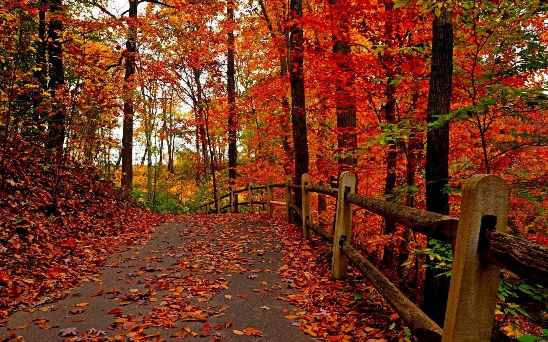 1920x1200 Autumn Serenity: A Stunning Winter Inspired HD Wallpaperx1200