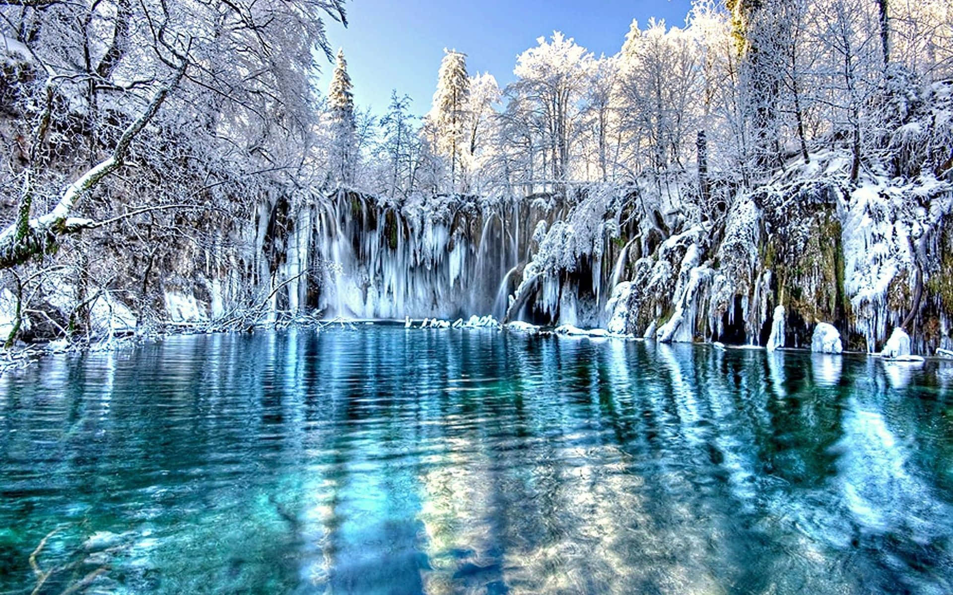 1920x1200 Download Tranquil Winter Wonderland Background