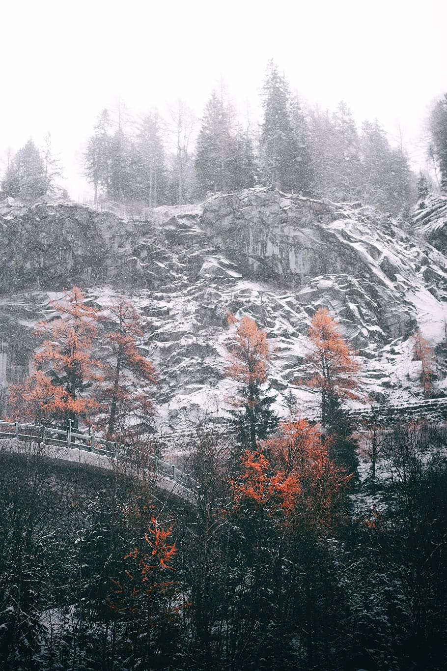 910x1365 HD wallpaper: snow covered mountain, assorted trees on edge of snowy hills