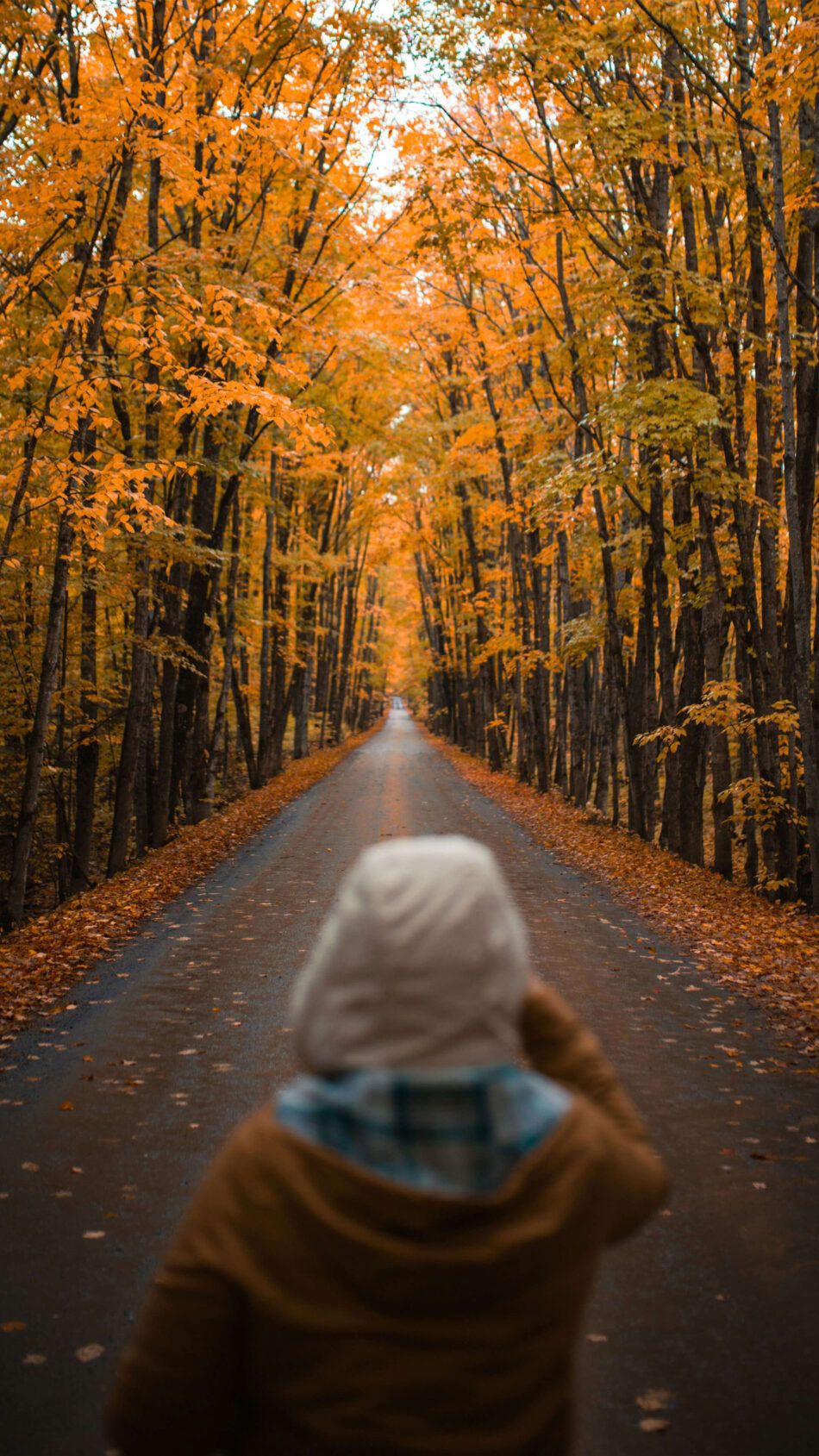 950x1689 Girl Empty Road Full of Maple Tree Winter Fall 4K Ultra HD Mobile Wallpaper for iPhone & Android
