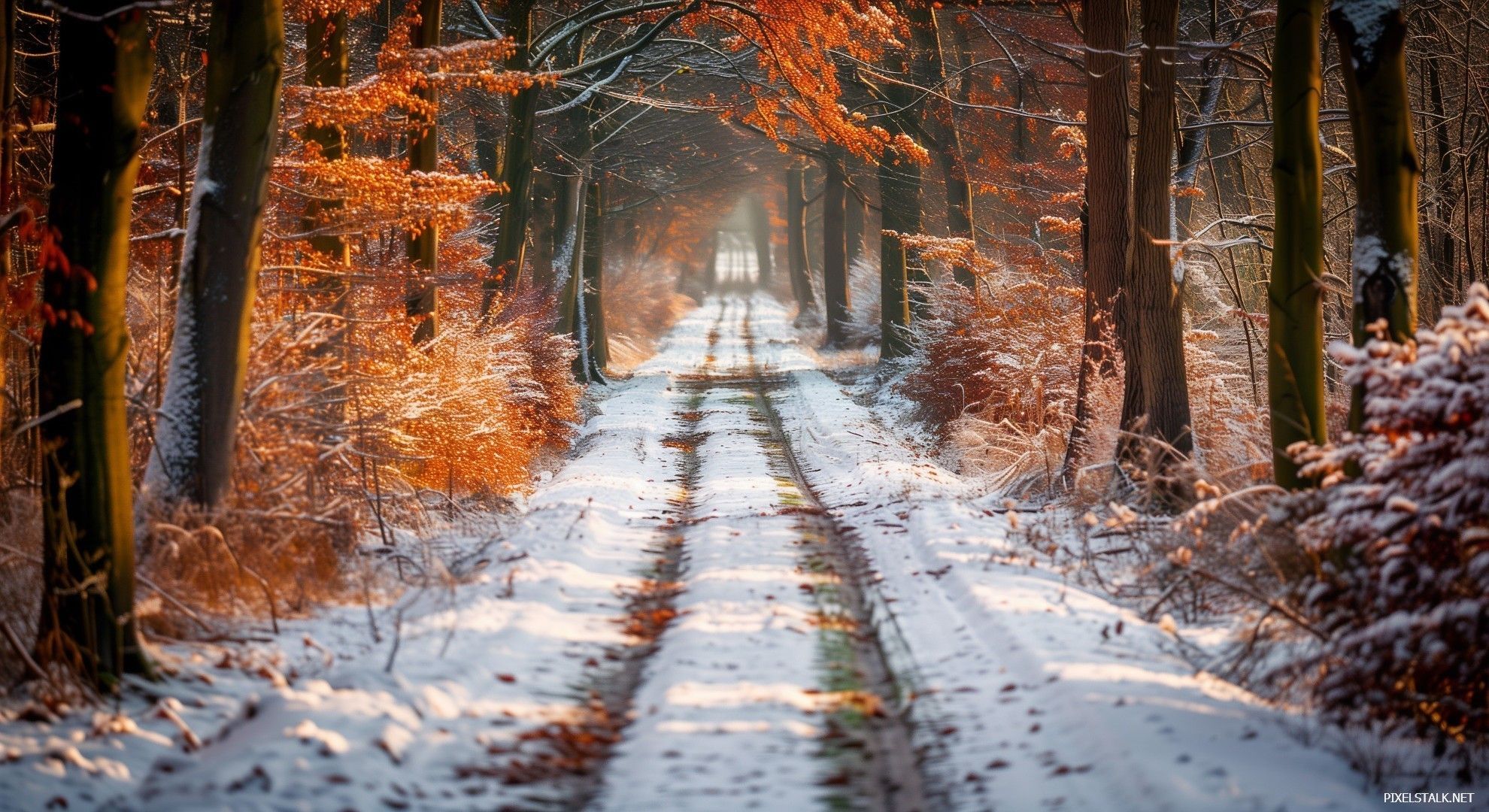 1980x1080 Winter Nature Wallpaper