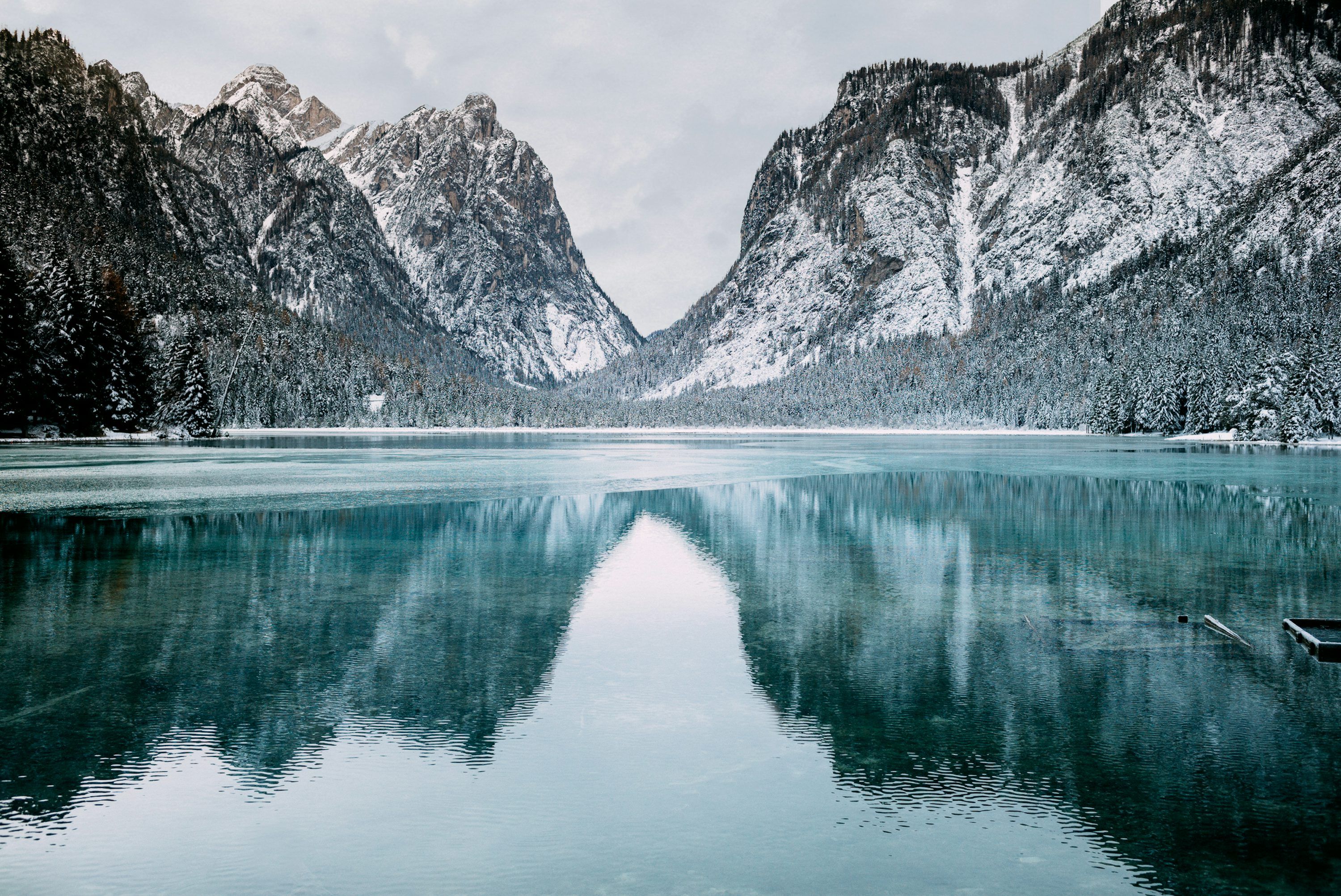 3000x2004 Winter Wallpaper: Free HD Download [4K]