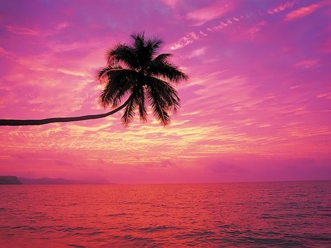 480x360 Rainbow sunset beach wallpaper
