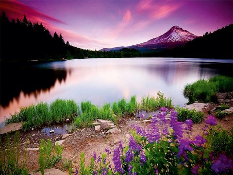 480x360 COLOR SOLUTION 92 cm x 62 cm Waterproof Nature Vinyl Wallpaper Price in India COLOR SOLUTION 92 cm x 62 cm Waterproof Nature Vinyl Wallpaper online at