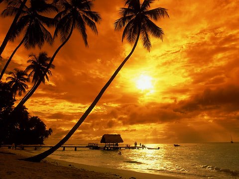 480x360 Tropical sunset wallpaper
