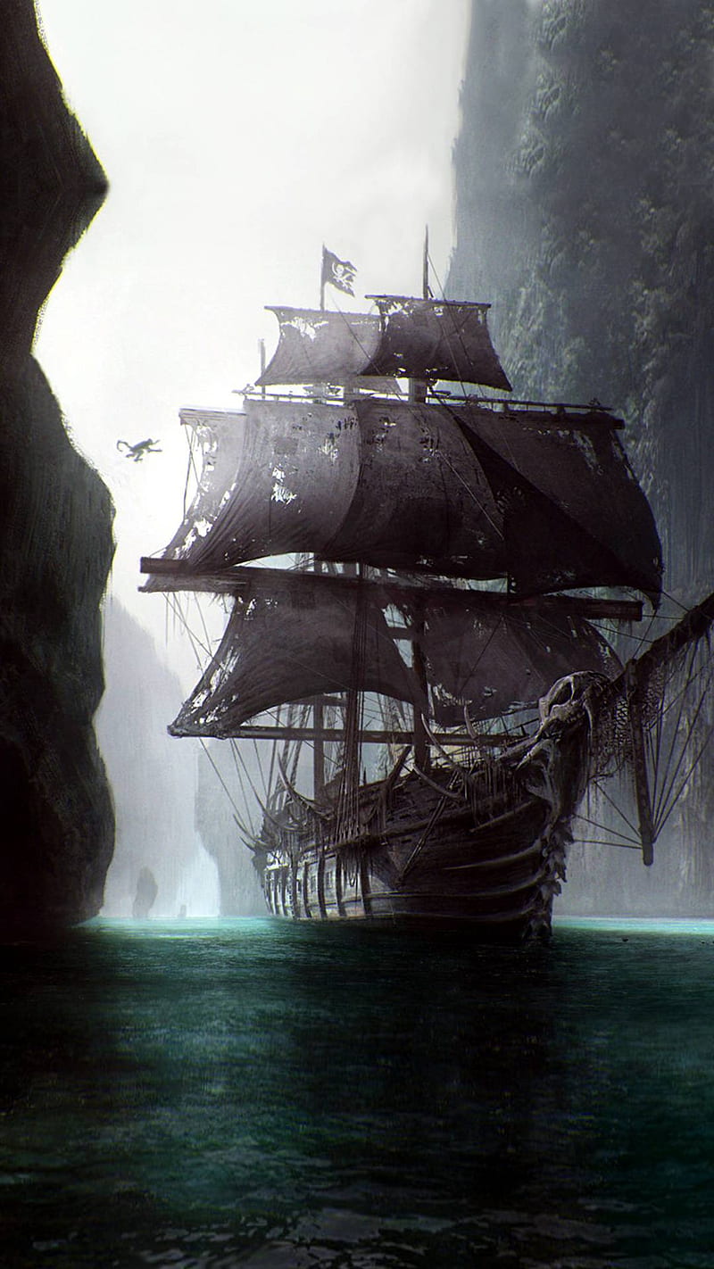 800x1422 Pirates, boat, pirate, sea, ship, ships, HD phone wallpaper