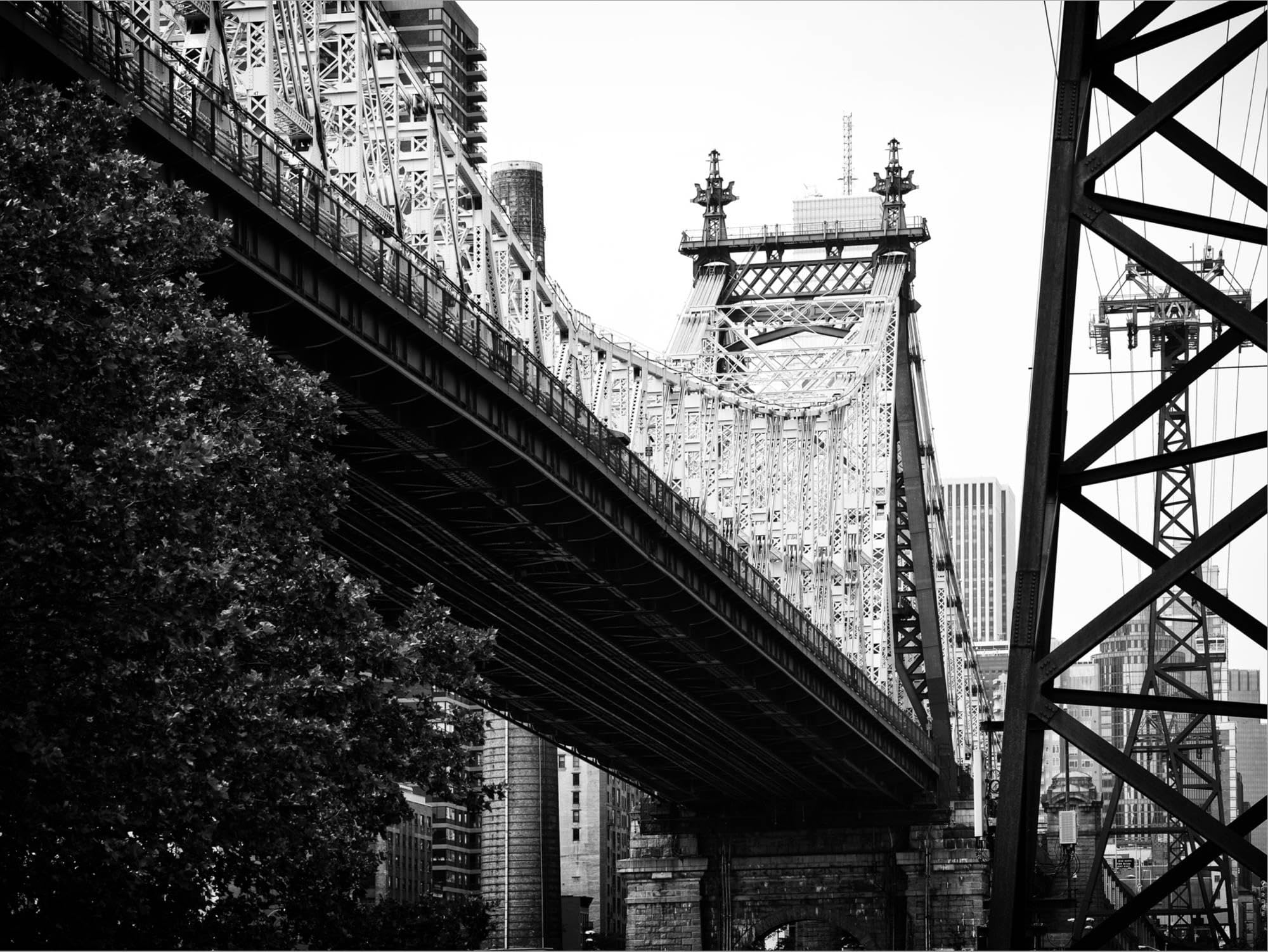 2000x1502 ART.COM Canvas Wall Art Prints Ed Koch Queensboro Bridge ( Queensbridge) View, Manhattan, New York, Black and White Photography by Philippe Hugonnard, Places Decor, 24 x 18: Posters & Prints
