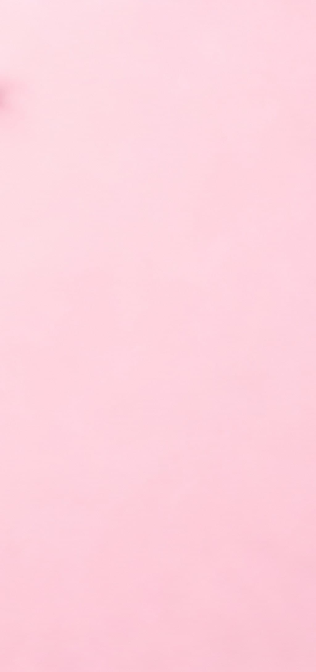 1024x2176 All pink wallpaper in HD & 4K