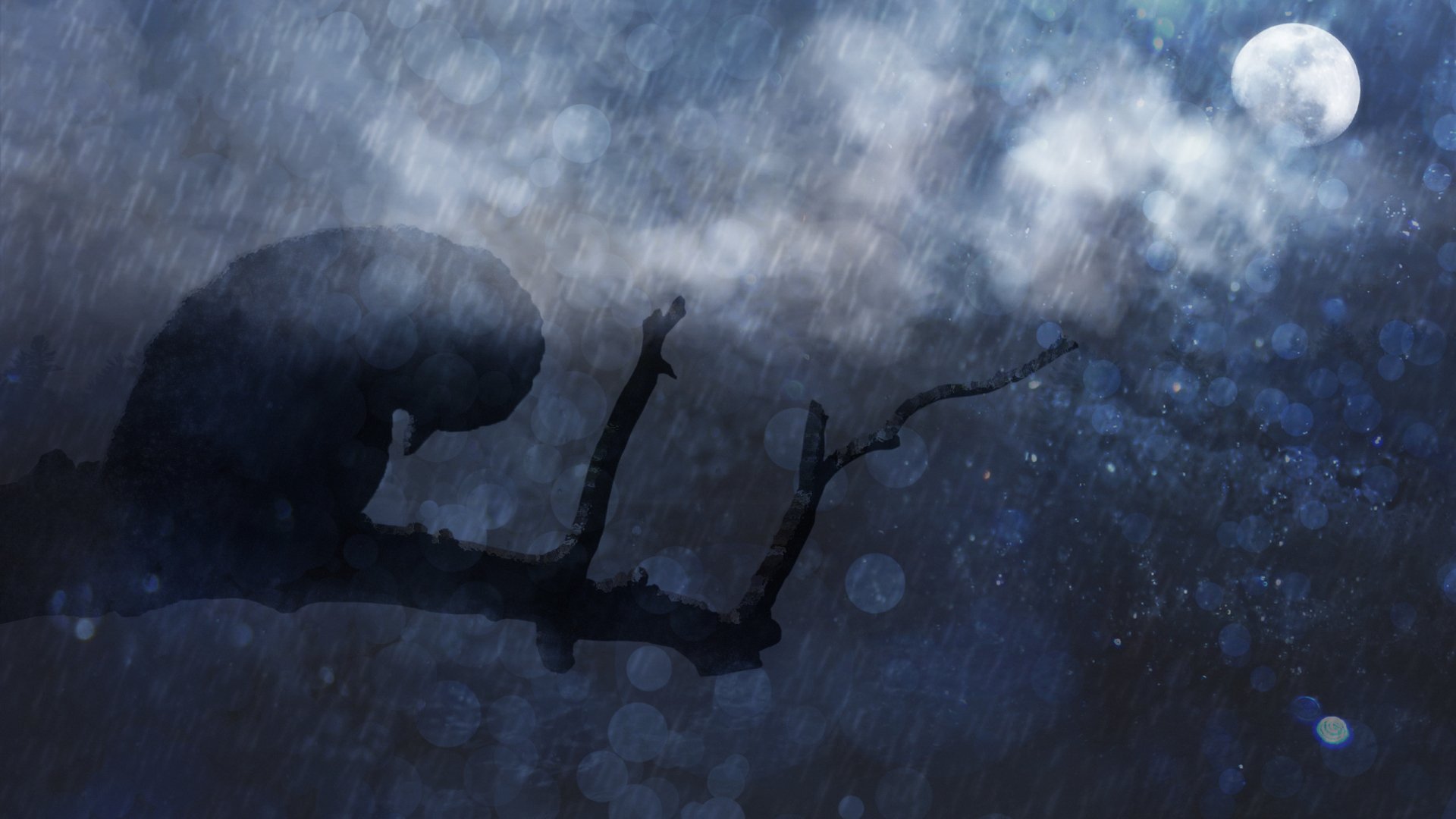 1920x1080 Why Do We Fall