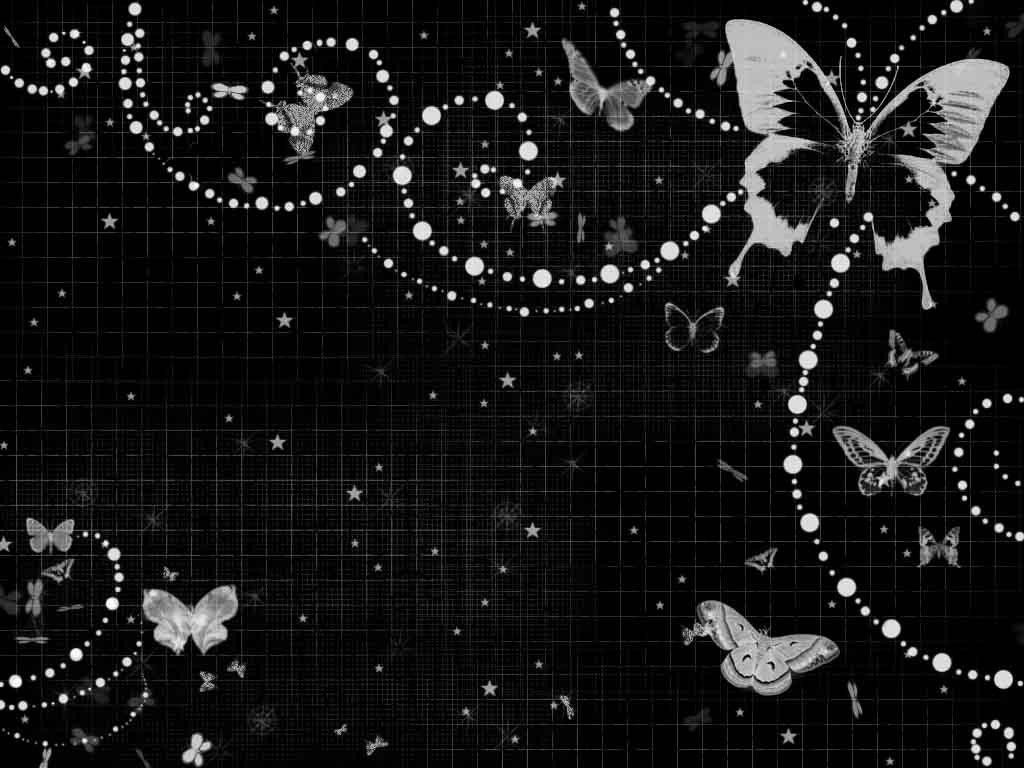 1024x768 Desktop Border Wallpaper