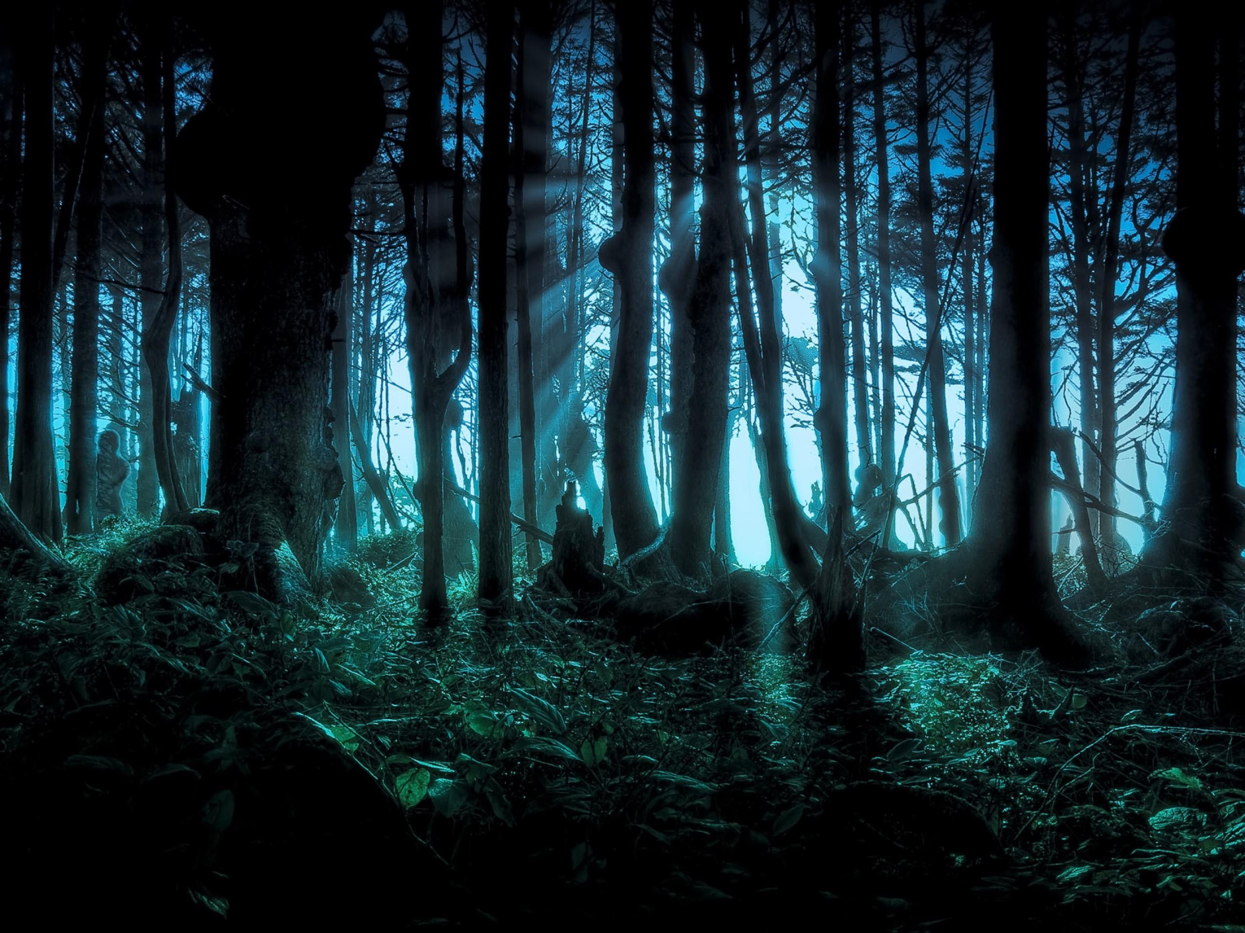 2560x1920 forest, Halloween, Scary, Pacific Wallpaper HD / Desktop and Mobile Background