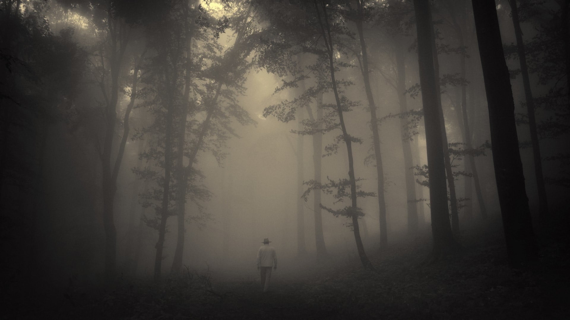 1920x1080 Black and white trees painting, trees, floating, spooky HD wallpaper