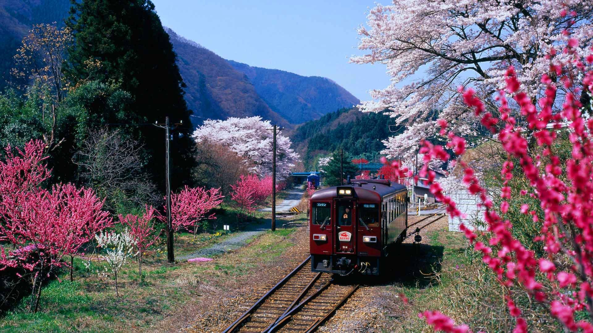 1920x1080 Wallpaper Japan, flowering, spring, train, Gunma Prefecture, mountains for mobile and desktop, section пейзажи, resolution 1920x1080