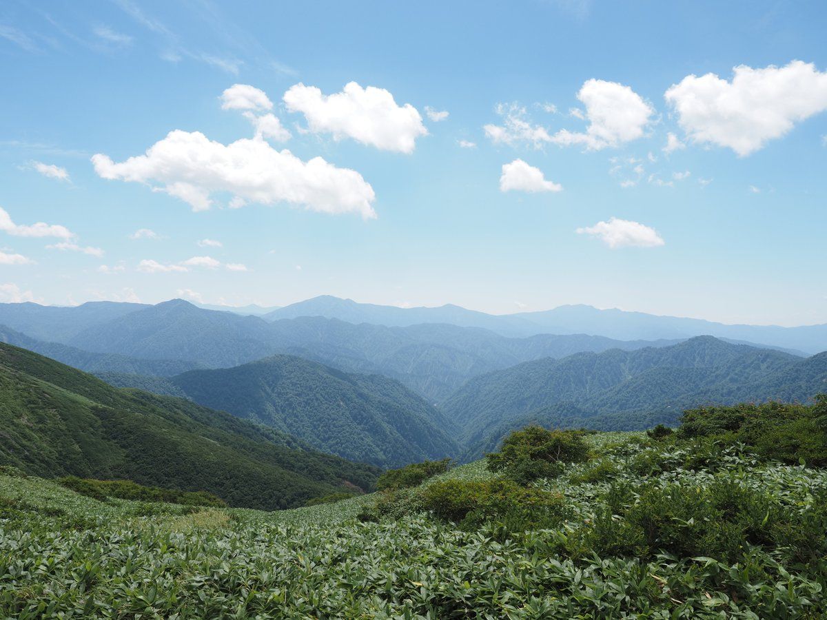 1200x900 Let's Go Hiking 〜 Hontani Yama｜Takeshi Hatori