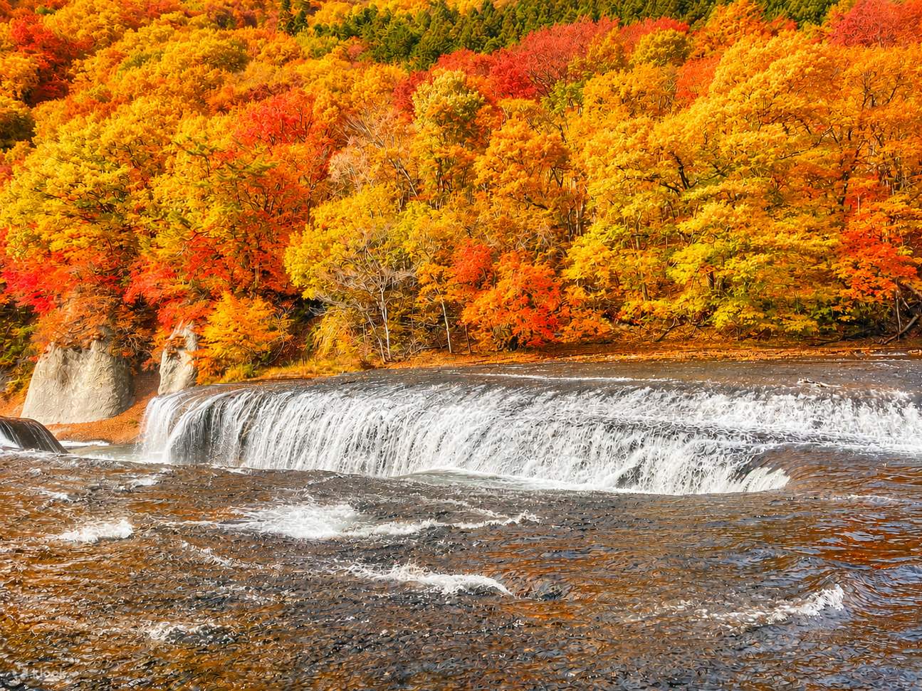 1295x971 Gunma Day Trip: Autumn Fukiware Falls Maple Viewing Winter Tambara Ski Park Snow Play & Fruit Picking Experience (Departing From Shinjuku, Tokyo)