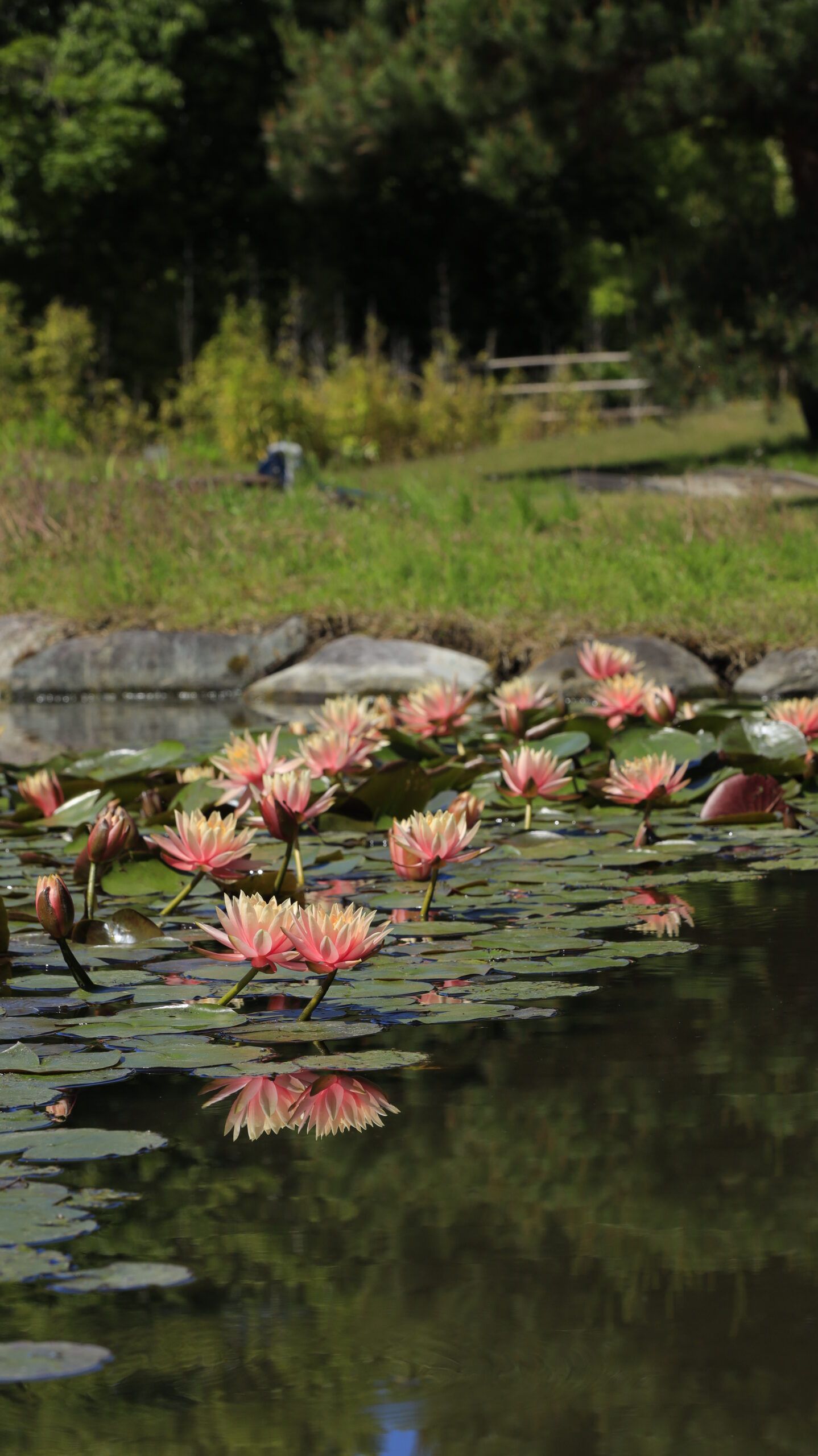 1438x2560 Popular places to take photo in Gunma Prefecture