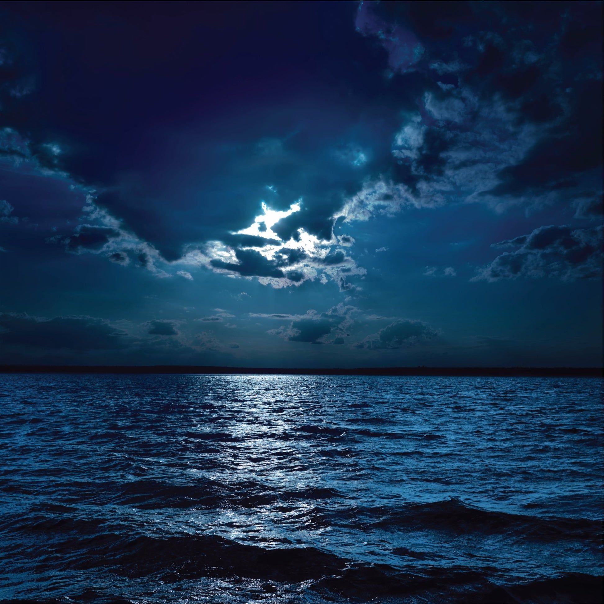 1946x1946 Midnight Ocean + Sandalwood Fragrance Oil l Scentsorie