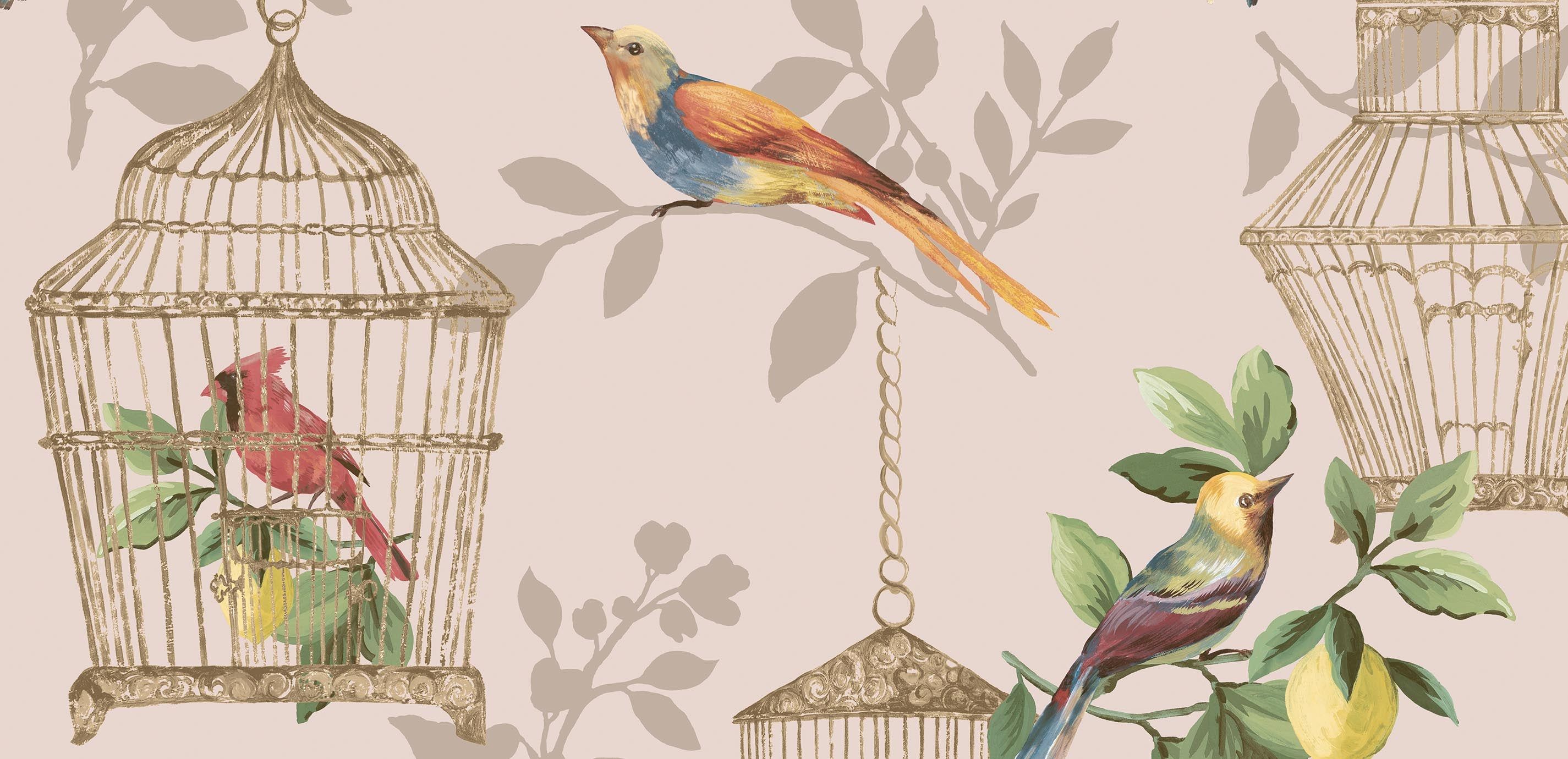 2850x1380 Birdcage Wallpaper