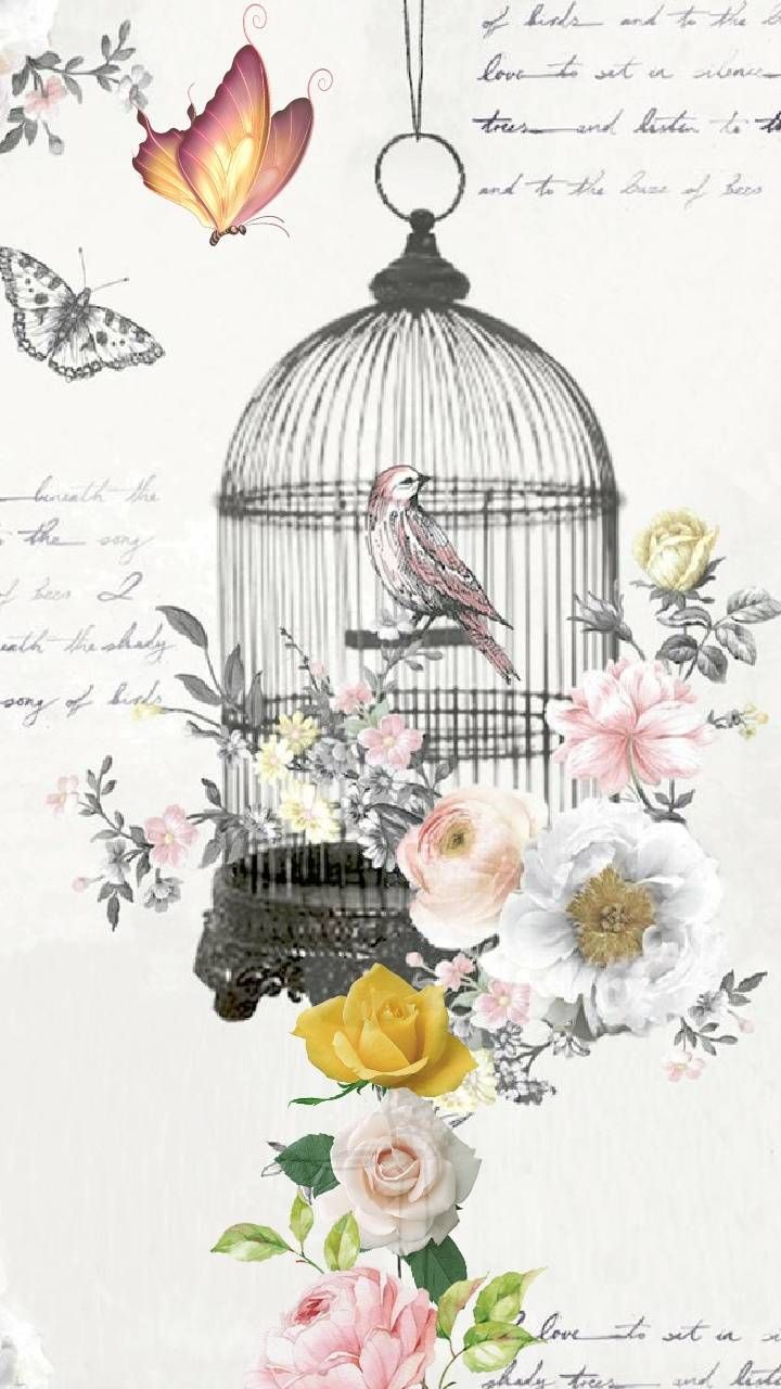 720x1280 Bird Cage Wallpaper