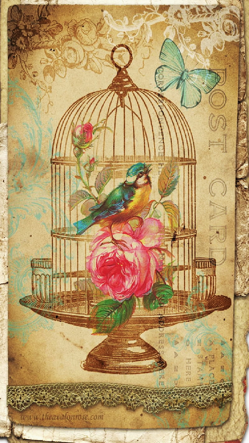 800x1422 HD vintage bird cage wallpaper