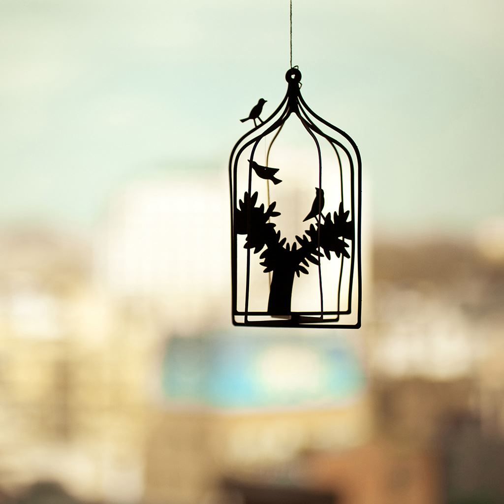 1024x1024 Bird Cage iPad Wallpaper Free Download