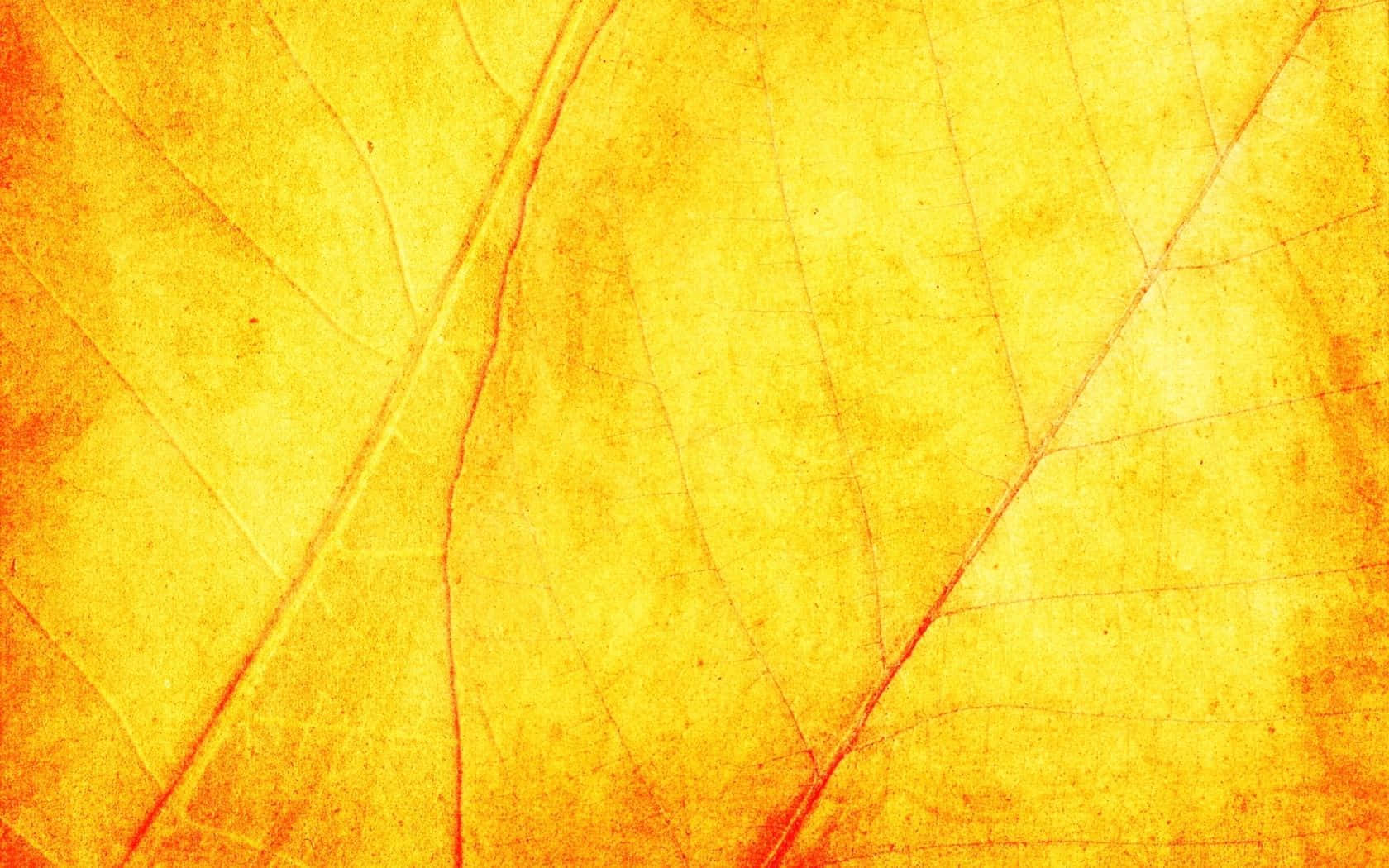 1680x1050 Download Bright, Vibrant Yellow Textured Background