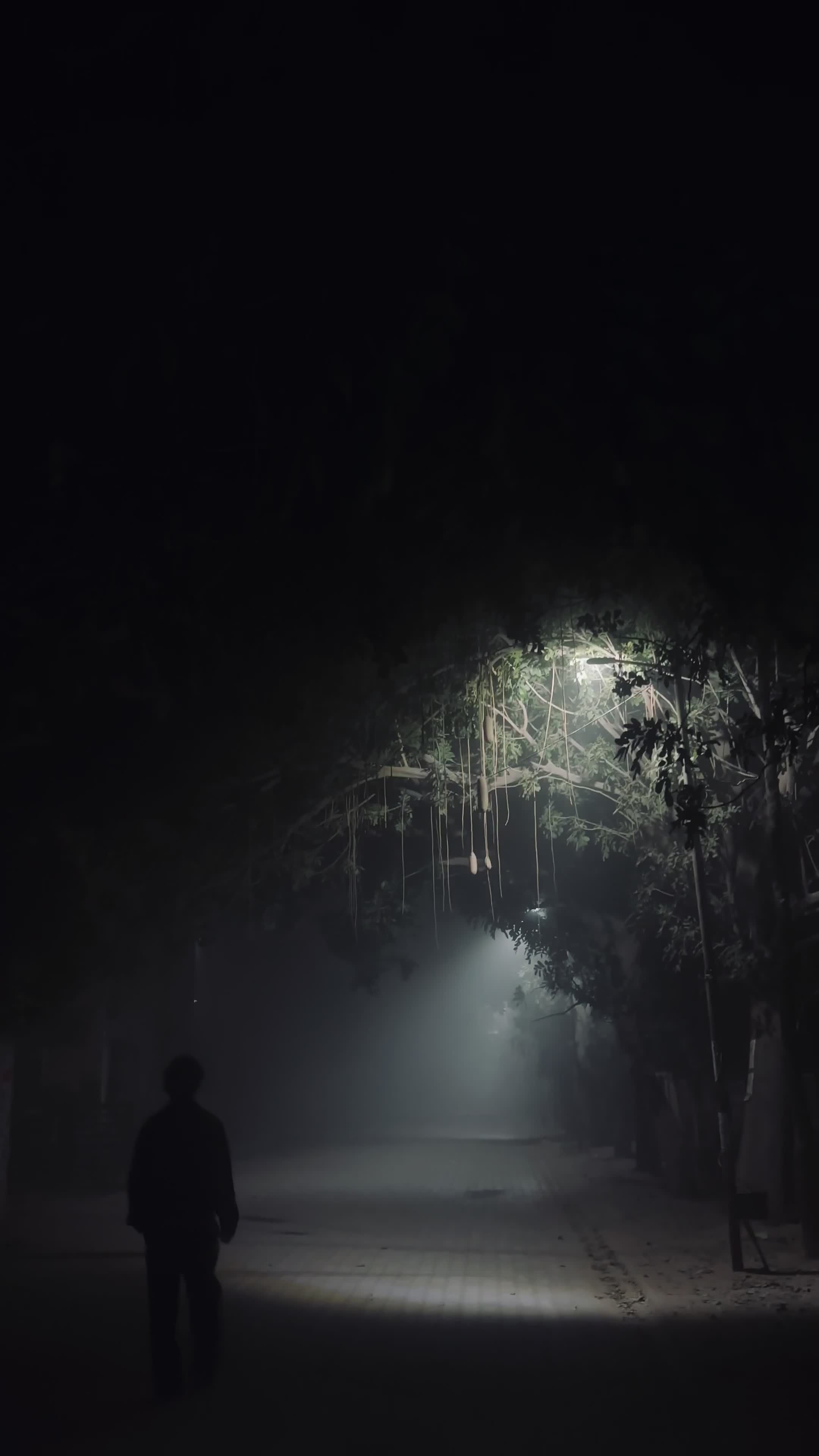 2160x3840 Moody Night Walk in Foggy Street