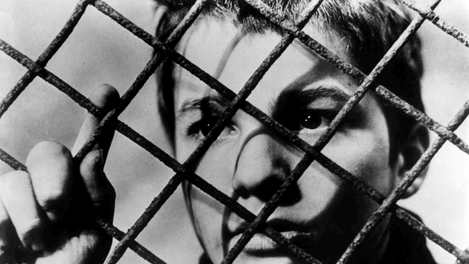 1920x1080 The Cinematheque / The 400 Blows