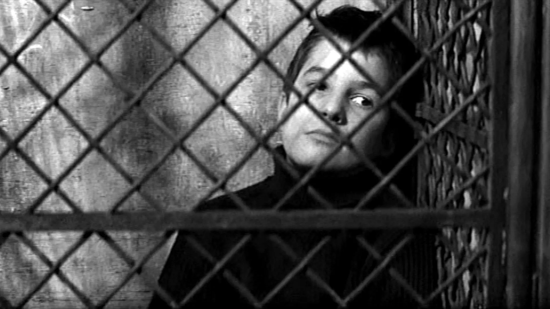1920x1080 The 400 Blows, covers, wallpaper